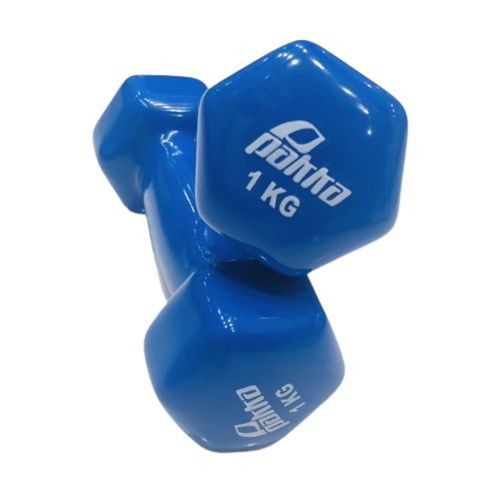 Pakka Haltère pair de fitness gym à domicile 1 kg musculation aerobics